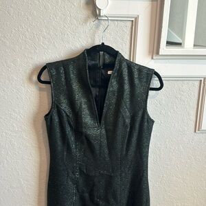 Black dress , below the knee. By Coldwater Creek.